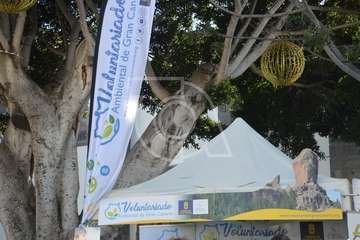 I Feria de Participación Ciudadana y del Voluntariado de Telde (Foto TA)